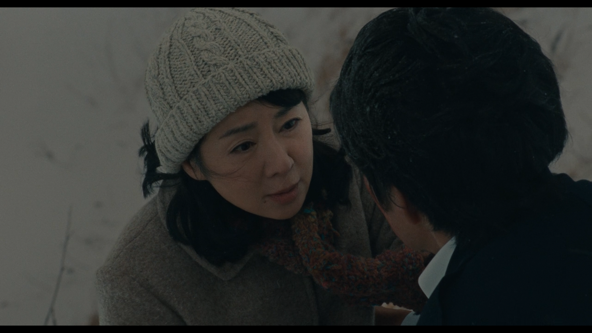 北方的金丝雀剧照的剧照