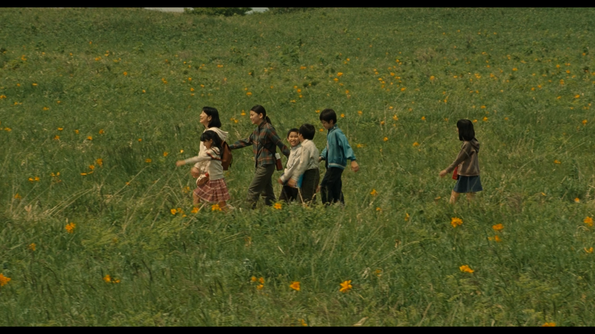 北方的金丝雀剧照的剧照