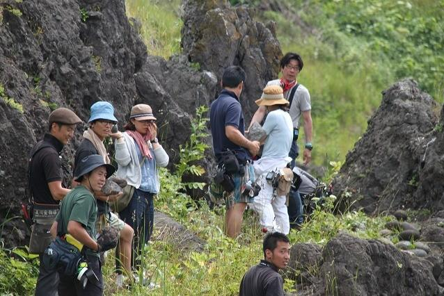 北方的金丝雀剧照的剧照