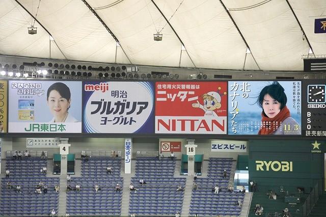 北方的金丝雀剧照的剧照