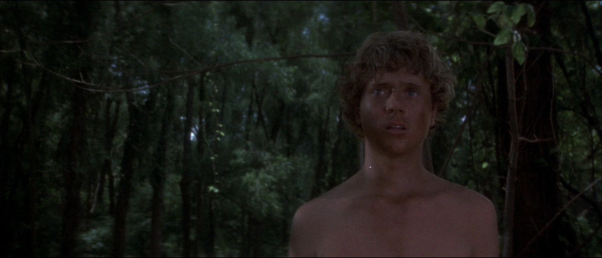 哈克贝利·费恩历险记剧照的剧照