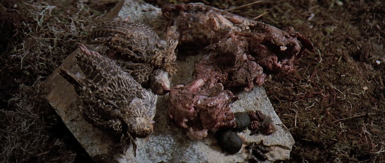 冰人四万年剧照的剧照