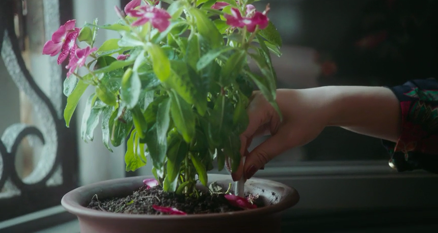 第一炉香剧照的剧照