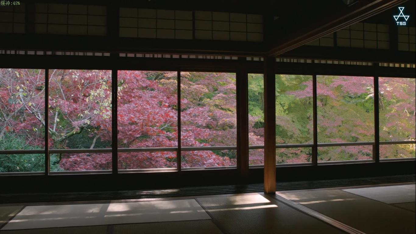 松下奈绪 四季的飨宴 京都料理剧照的剧照