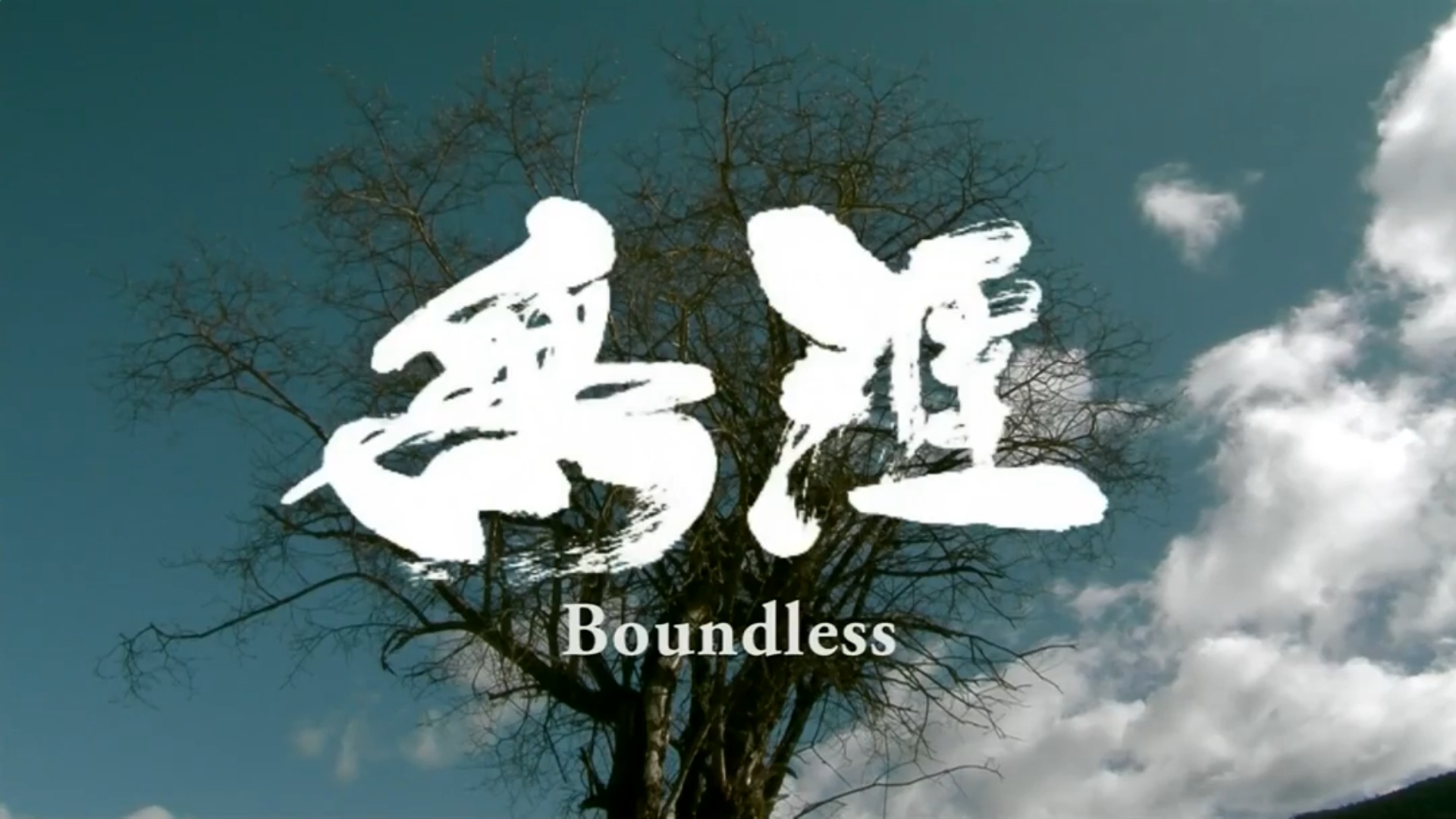 无涯：杜琪峰的电影世界剧照的剧照