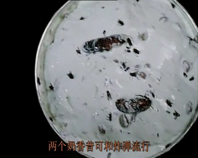 冰淇淋人剧照的剧照