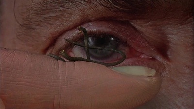 尸袋剧照的剧照