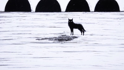 魔僧生与死剧照的剧照