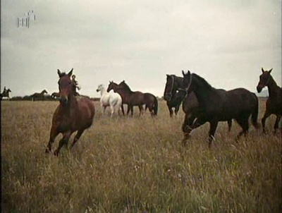 叛逆者米夏埃尔·科尔哈斯剧照的剧照