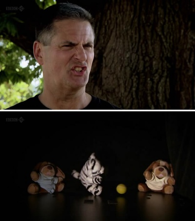 地平线系列：你是好的还是坏的剧照的剧照