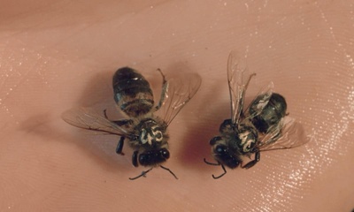 逐个淹死剧照的剧照