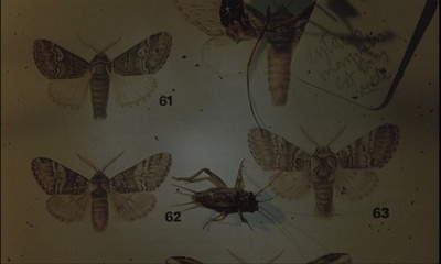 逐个淹死剧照的剧照