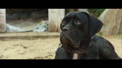 哦！文姬剧照的剧照