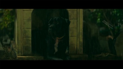 哦！文姬剧照的剧照