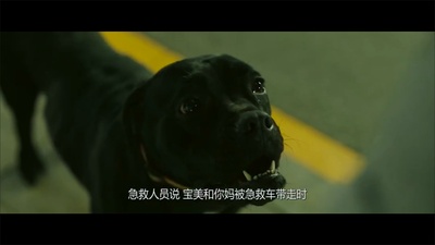 哦！文姬剧照的剧照