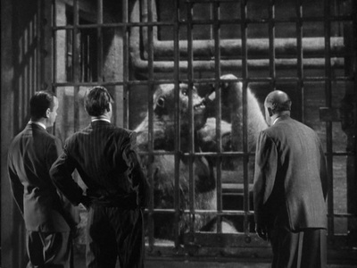 巨猩乔扬剧照的剧照