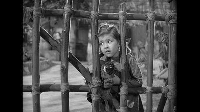 巨猩乔扬剧照的剧照