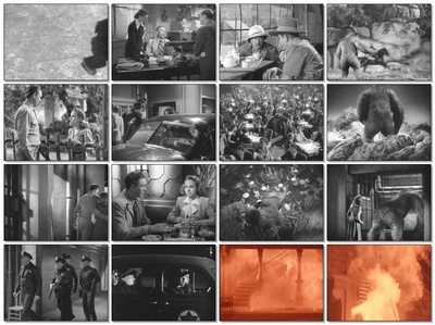 巨猩乔扬剧照的剧照