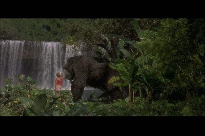 无敌大猩猩剧照的剧照