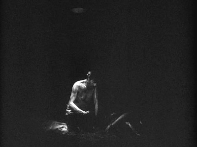 鲨岛逃生记剧照的剧照