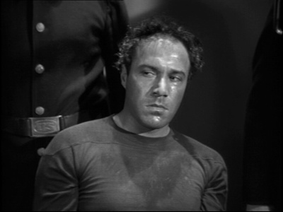 鲨岛逃生记剧照的剧照