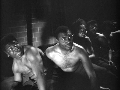 鲨岛逃生记剧照的剧照