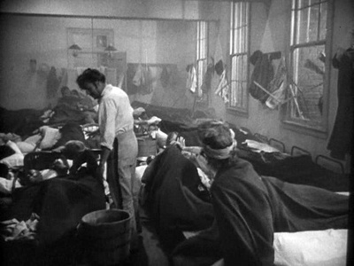 鲨岛逃生记剧照的剧照