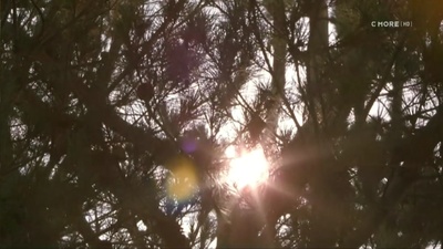 尘雾家园剧照的剧照