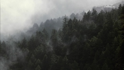 尘雾家园剧照的剧照