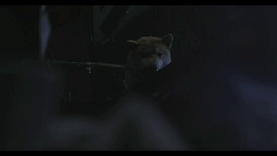 爱犬的奇迹剧照的剧照