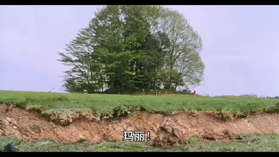 爱犬的奇迹剧照的剧照