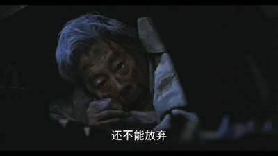 爱犬的奇迹剧照的剧照