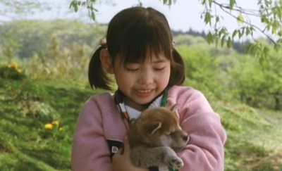 爱犬的奇迹剧照的剧照