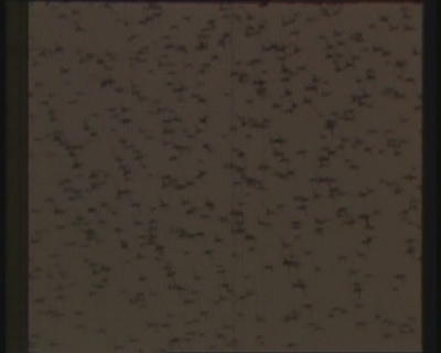 夜心曲剧照的剧照