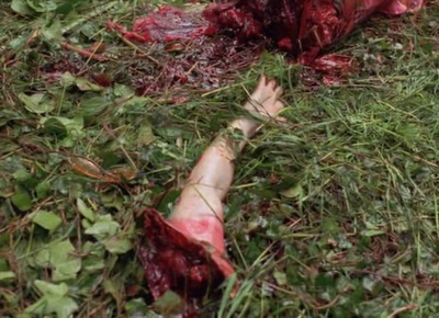 变种鲨鱼人剧照的剧照