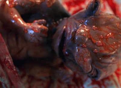 变种鲨鱼人剧照的剧照