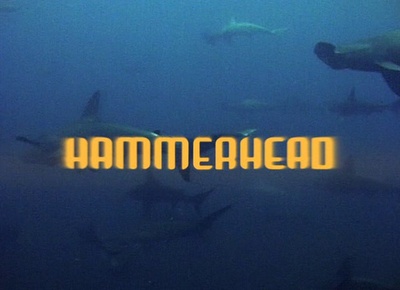 变种鲨鱼人剧照的剧照