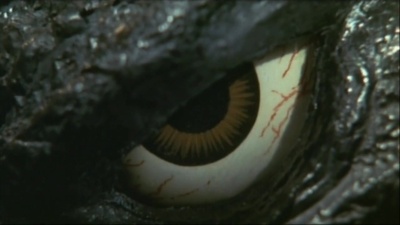 哥斯拉之怪兽王复活剧照的剧照