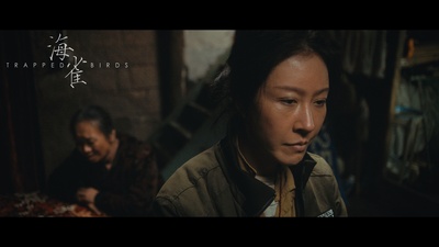 海雀剧照的剧照