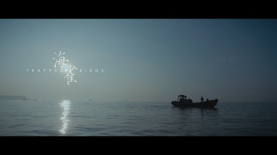 海雀剧照的剧照