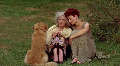 去年夏天在汉普顿剧照的剧照