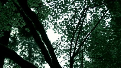 女裁缝剧照的剧照