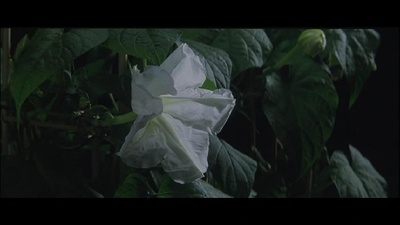 赤目四十八泷心中未遂剧照的剧照