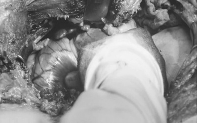 海与毒药剧照的剧照