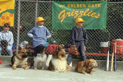 看狗在说话之旧金山历险记剧照的剧照