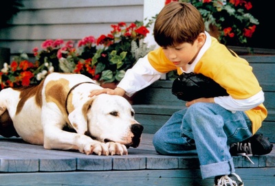 看狗在说话之旧金山历险记剧照的剧照