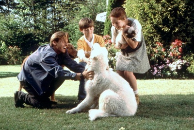 看狗在说话之旧金山历险记剧照的剧照