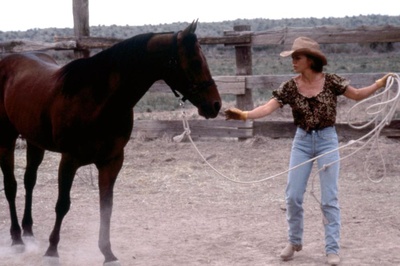 墨菲罗曼史剧照的剧照