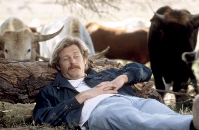 墨菲罗曼史剧照的剧照