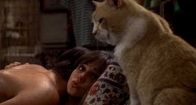 黄昏夕阳剧照的剧照